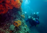 Punta de la Mona dive site, Costa del Sol, Spain