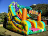 Bouncy Castle 1