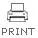 Print this page